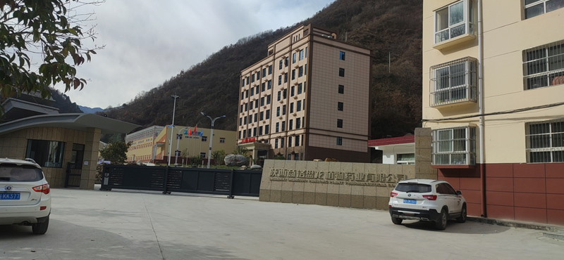 祝賀盤龍藥業(yè)一臺反滲透設備安裝成功